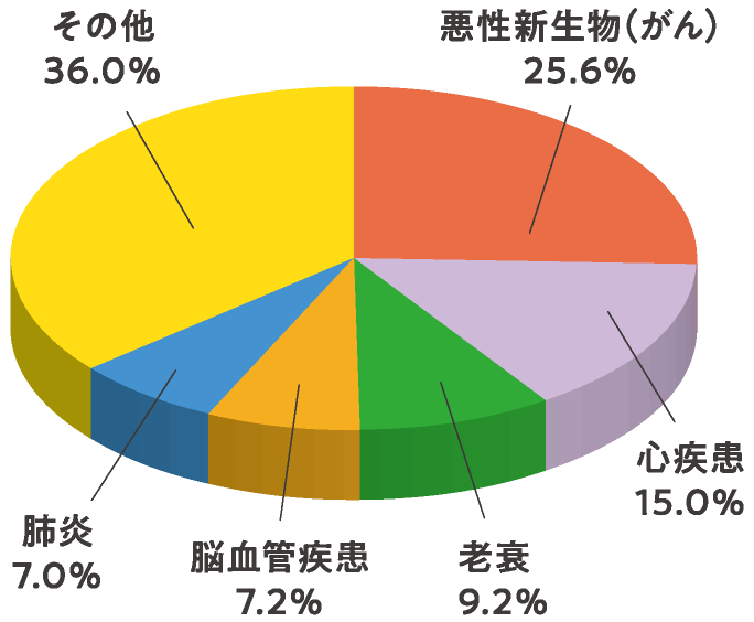 熊本県の主要死因別割合